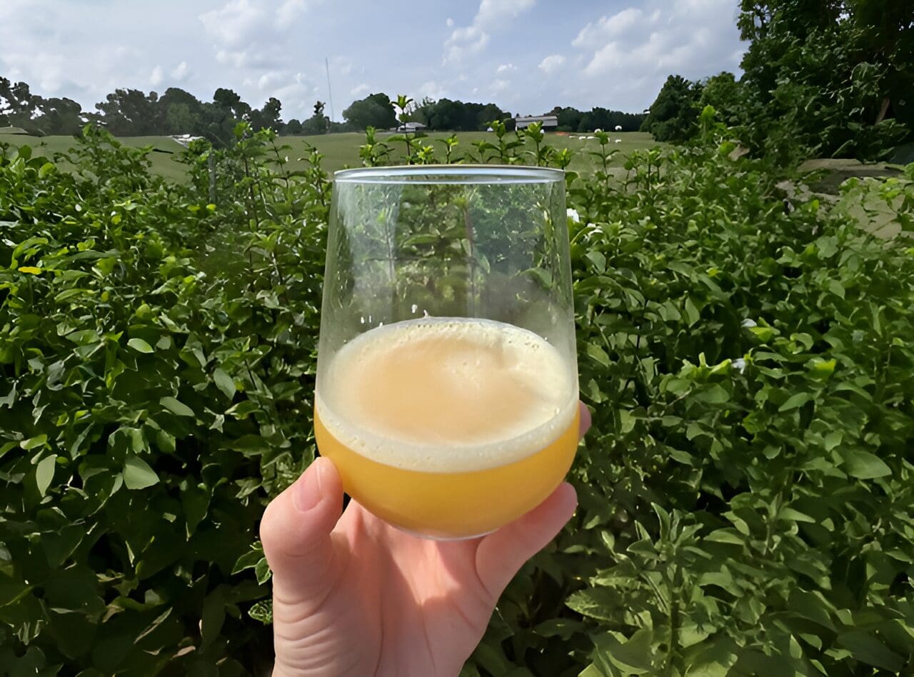 Hand holding glass of orange juice outdoors.