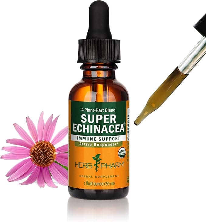 Here's an alt tag for the image: Super Echinacea immune support herbal supplement.