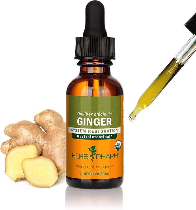 Organic ginger gastrointestinal herbal supplement.