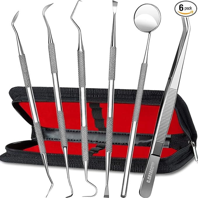 Six-piece dental hygiene tool kit.