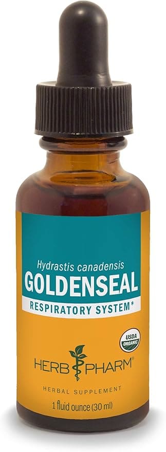 Golden Seal respiratory system herbal supplement.